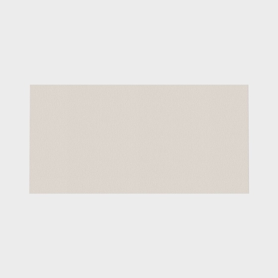 Modern Style Carpet in Earth Color