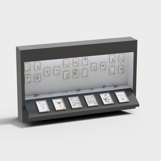 Specimen Display Case 3D Model in Gray Finish