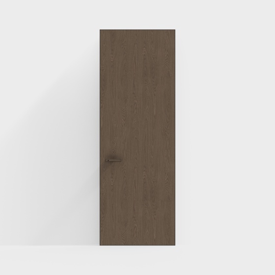 Modern minimalist interior door