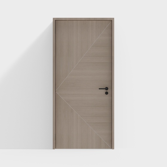Modern minimalist style door