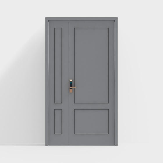 Modern minimalist double-frame entrance door