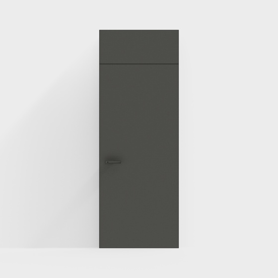 Modern minimalist interior door