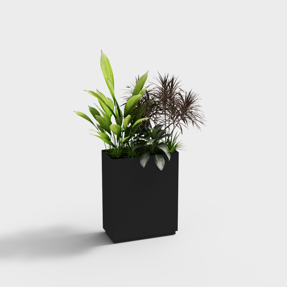 植物盆栽绿植花箱