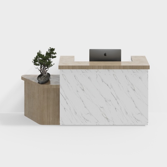 Brown Consultation and Registration Front Desk 3D Model