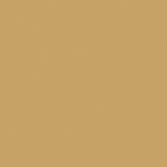 Brown Wall Paints and Coatings 3D Model