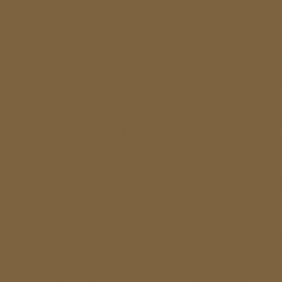 Shecan Wall Paint 3D Model in Beige Finish