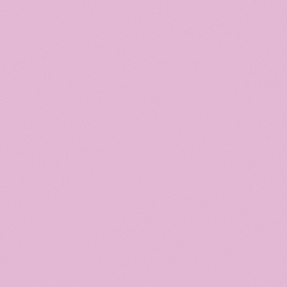 Sakura Wall Paint 3D Model in White
