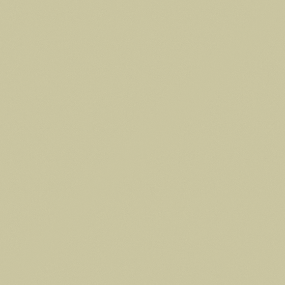 Bluish white Jade