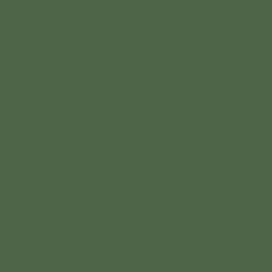 Green Raspberry Paint 3D Model for Walls