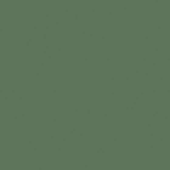 Green Oily Paint for Creative Walls