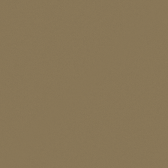 Tawny Wall Paint 3D Model in Beige