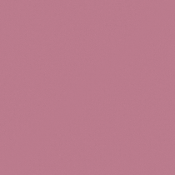Pink Purple Plum Wall Paints 3D Model