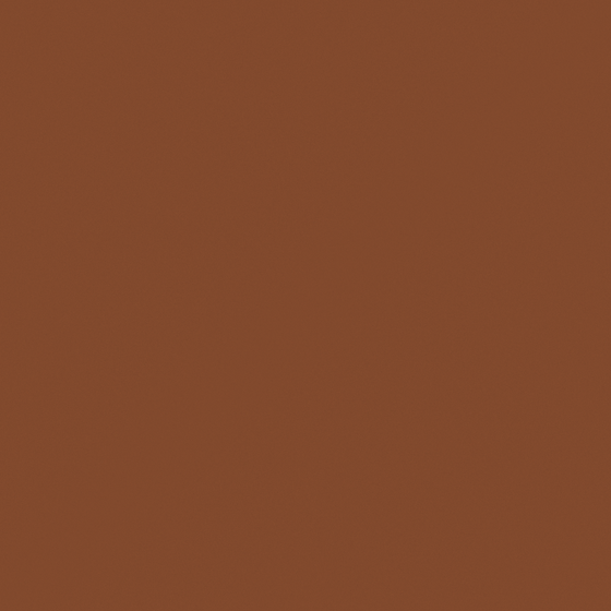 Vermilion Chestnut Wall Paint 3D Model - Black Design