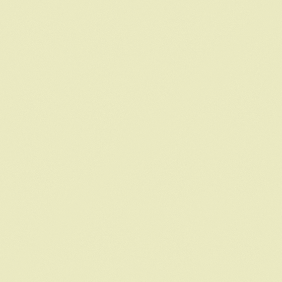 White Wall Paint 3D Model for Bright Interiors
