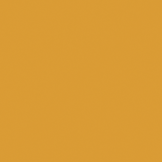 Wood Color Yellow Not Old Wall Paint for Bright Interiors