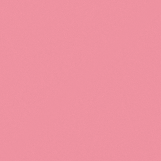 Yang Fei 3D Model in Pink