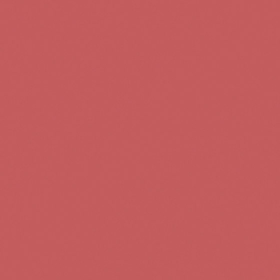 Pink Dental Crimson Wall Paint 3D Model