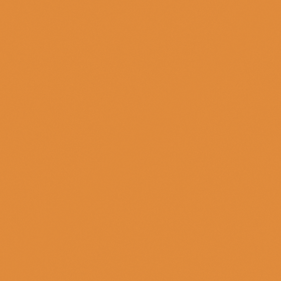 Cookin 3D Model in Orange