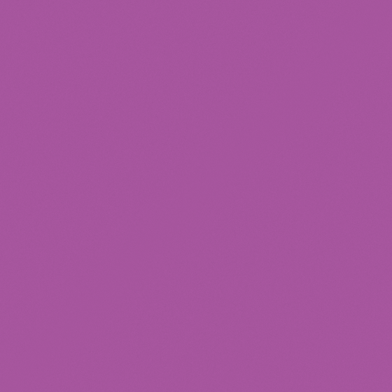 Pink Purple Cattail Wall Paint 3D Model