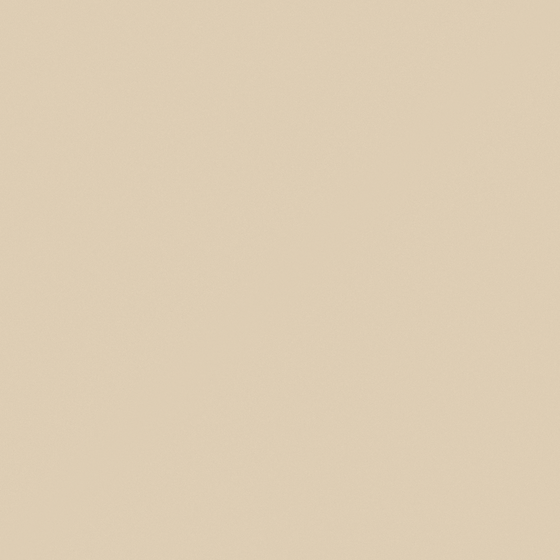 Trendy Earthsound 3D Model in Beige Color