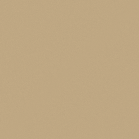 Chunks Wall Paint 3D Model in Wood Color