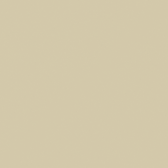 White Wall Paint 3D Model for Bright Aesthetics