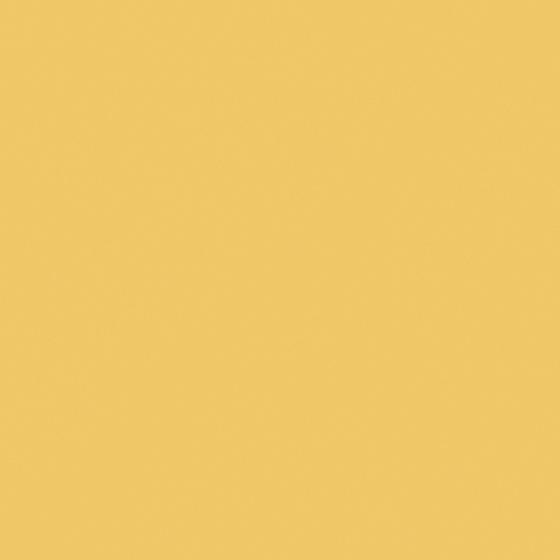 Tender Goose Yellow Wall Paint in White
