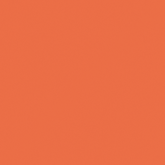 Red Persimmon Paint in Pink