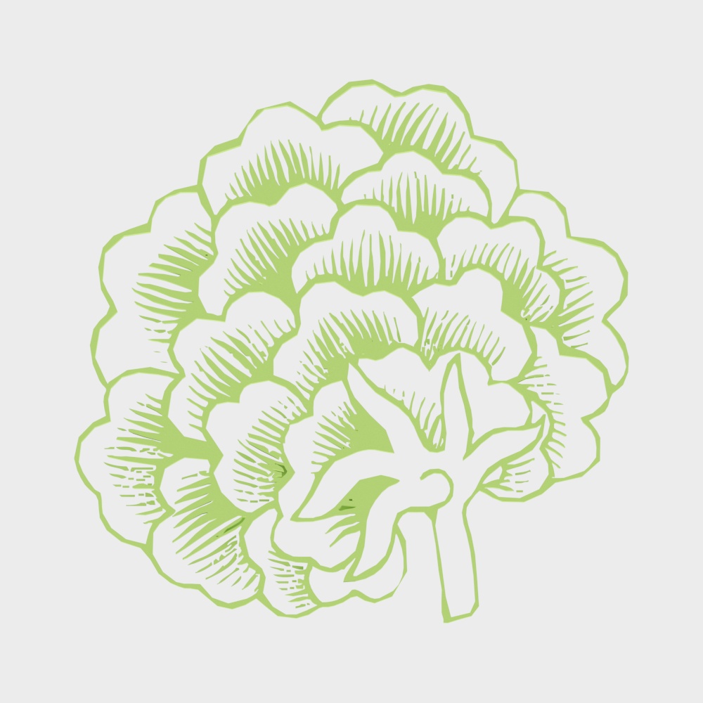 清代瓷器上的牡丹纹2
