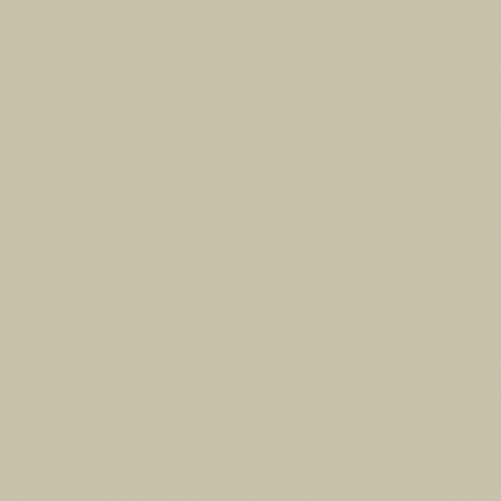 Wall Paint -023 in White for Finishing Touches