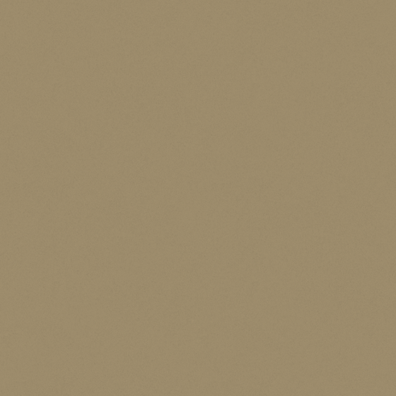 Wall Paint 3D Model - 029 in Beige
