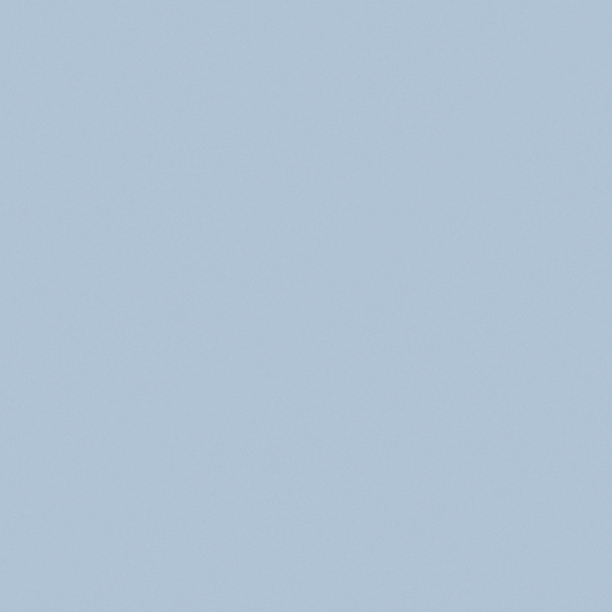 Wood Color Wall Paint 021 for Elegant Interiors