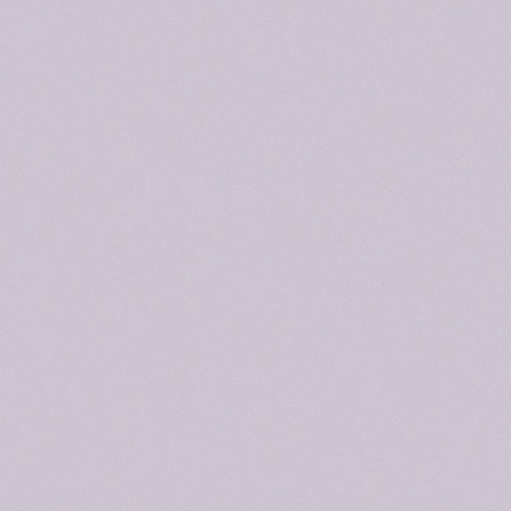 Wall Paint -022 in White