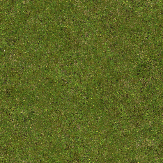 Meadow-002