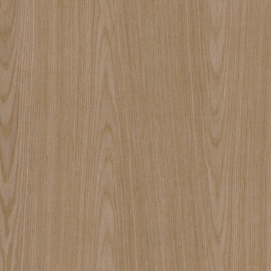 Lacquer Wood 3D Model in Beige