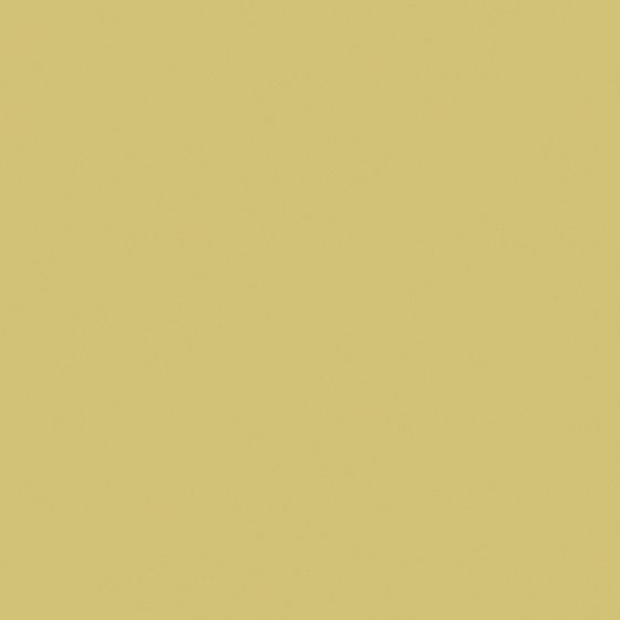 Elegant White Paint Wood 015 for Aesthetic Finishes