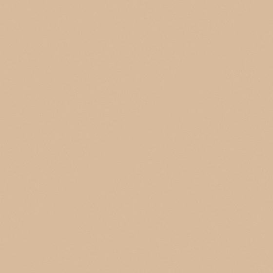 Paint Wood -005 3D Model in Wood Color
