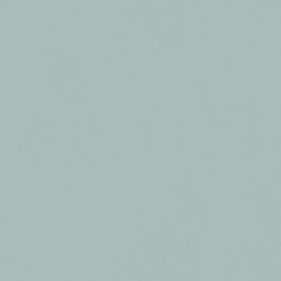 Wall Paint 3D Model in White