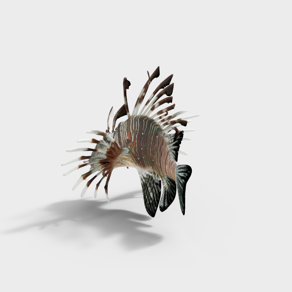 龙须狮子鱼3D模型