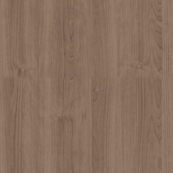 Lacquer Wood Material 3D Model in Soft Touch