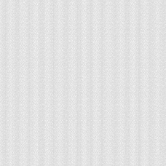 Window Screen - White Fishbone 3D Model in High Transparency
