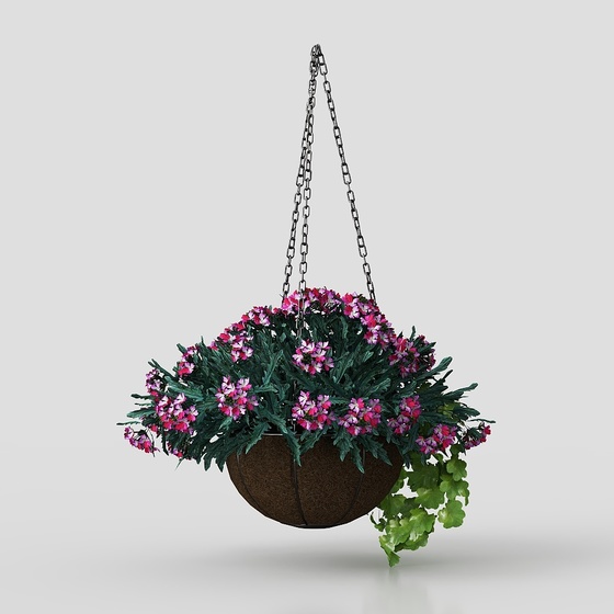 hanging basket flowers
