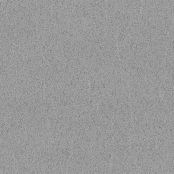 Soft Material Carpet 3D Model in Gray