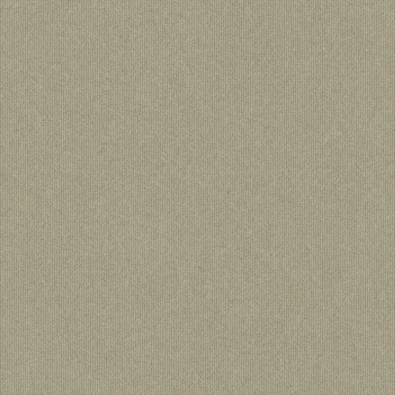 Gray Carpet 3D Model