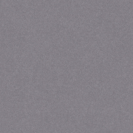 Gray Carpet 3D Model