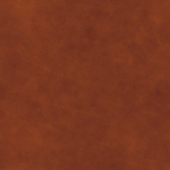 Leather - Ochre Highlights 3D Model in Brown