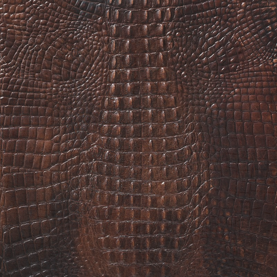 Brown Alphenberg Kaiman Tan Soft Material 3D Model