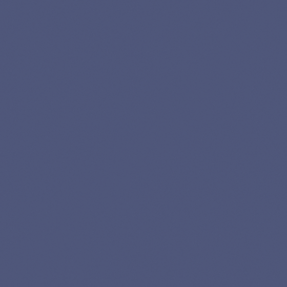 Carpolly Starry Purple M2511-A PB 90 36 49