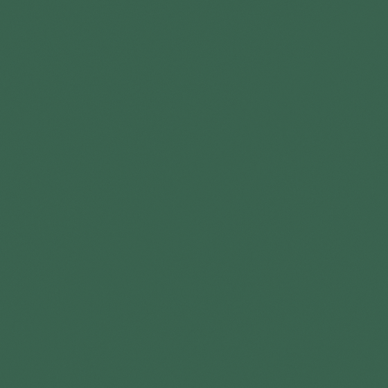 Carpolly Elegant Green Paint 3D Model in Green