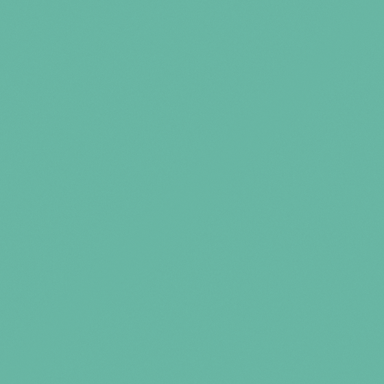 Carpolly Bog M2369-D BG 28 64 58